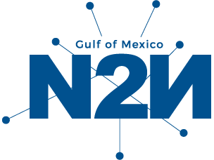 Network-to-Network for the Gulf of Mexico Logo
